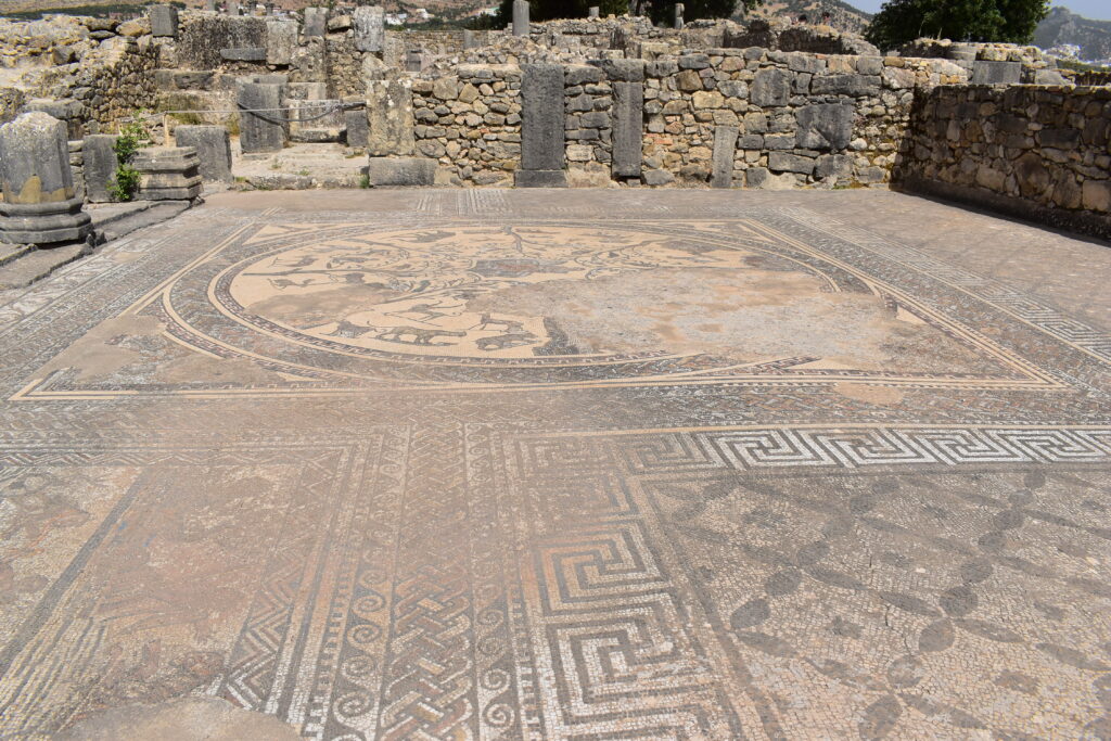 Viaggio in Marocco: mosaico romano con figure animali tra le rovine archeologiche di Volubilis
