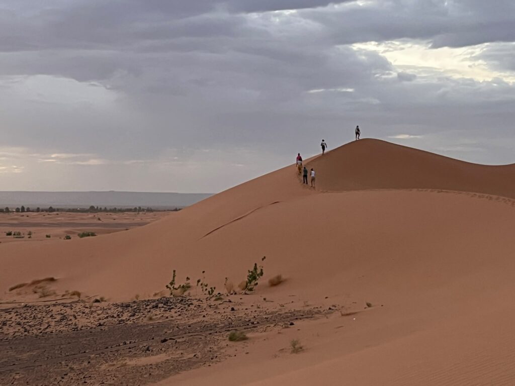 Un gruppo di persone risale il crinale di una duna per vedere l'alba